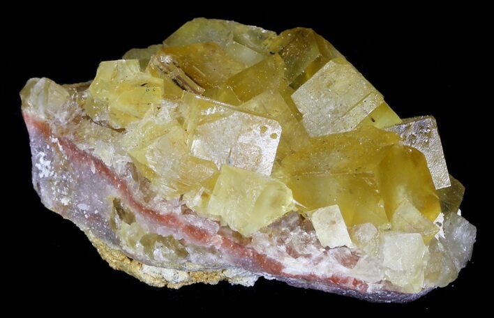 Lustrous, Yellow Cubic Fluorite Crystals - Morocco #32307